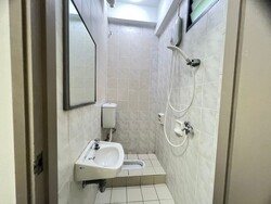 Simsville (D14), Condominium #481310341